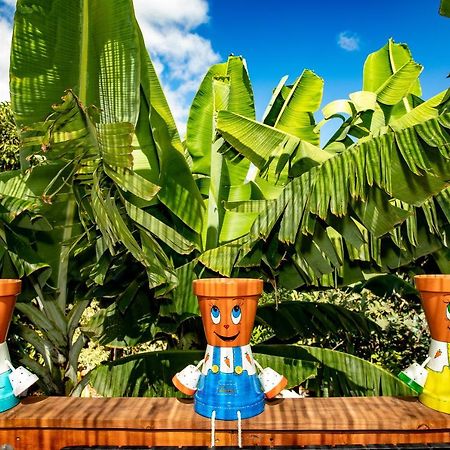 San Nicolás Casa El Pinilloヴィラ エクステリア 写真